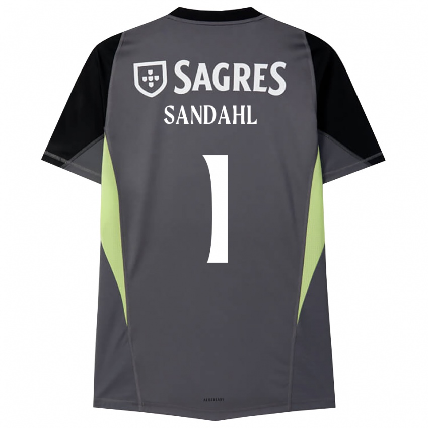 גברים אלכסנדר מטיאס סנדל #1 אפור כהה שחור חולצת שוער 2025/26 חולצה קצרה