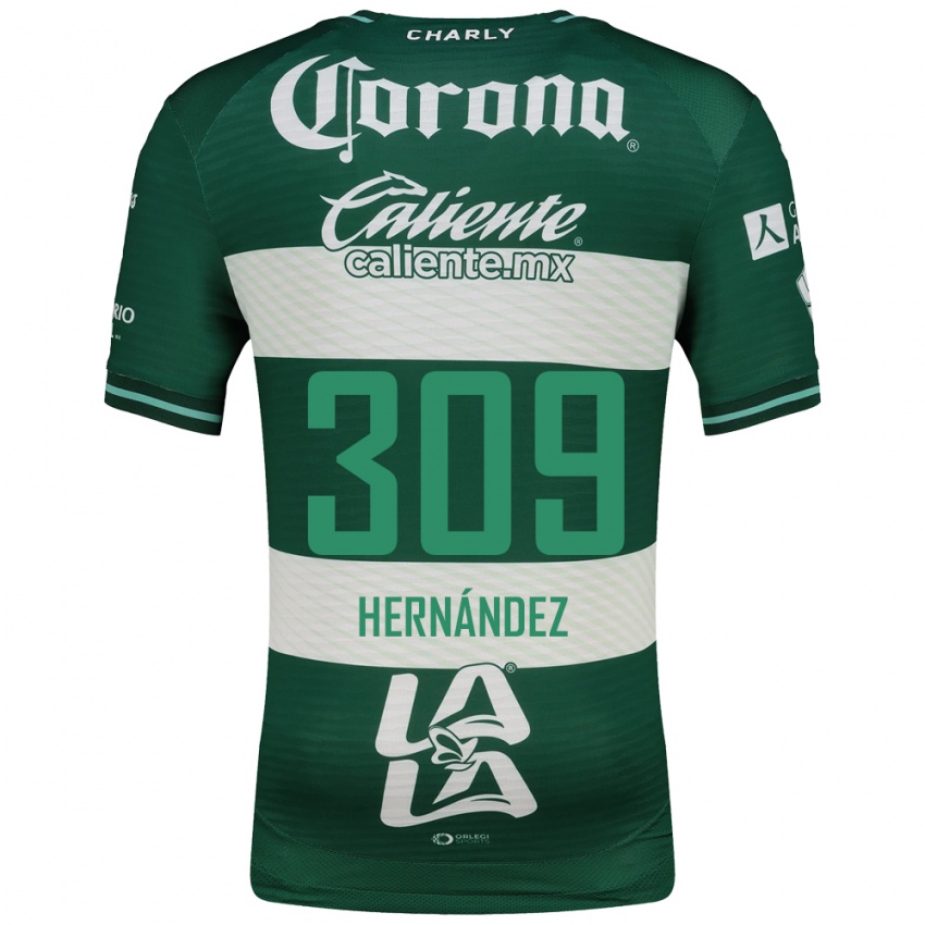 ילדים Julio Hernández #309 ירוק לבן ג'רזי ביתית 2026/27 חולצה קצרה