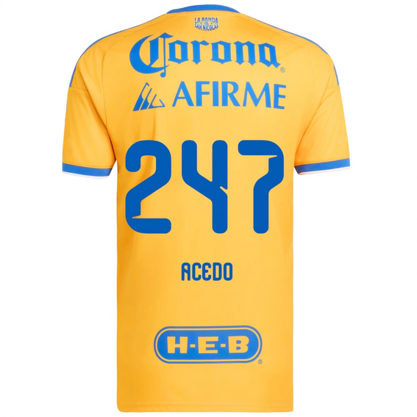 גברים Kevin Acedo #247 צהוב כחול ג'רזי ביתית 2026/27 חולצה קצרה